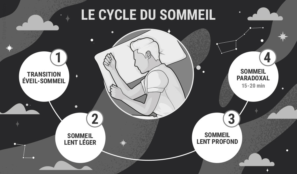 Illustration : un homme dort et autour de lui des bulles avec les phases du cycle du sommeil : transition éveil sommeil, sommeil lent léger, sommeil lent profond, sommeil paradoxal