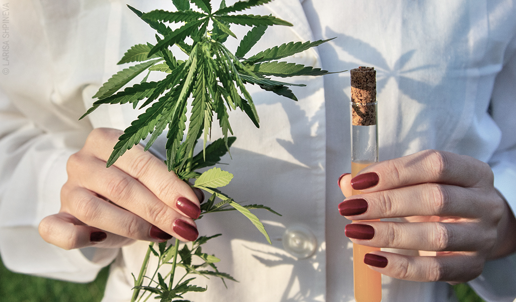 Photo : une femme tient dans une main une éprouvette et dans l'autre des feuilles de cannabis