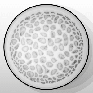 Illustration : coupe miscroscope sur la mousse polyeruthane