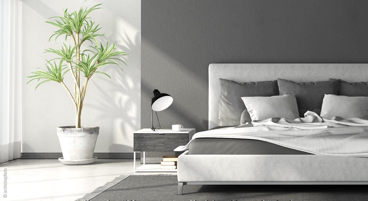 Lit double dans une chambre avec des draps gris et une plante à côté